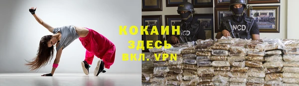 мяу мяу мука Кодинск