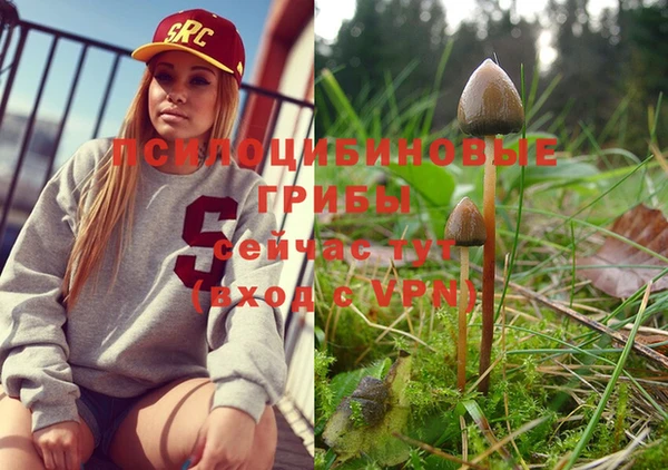 стафф Киренск