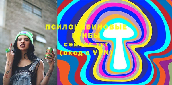 PSILOCYBIN Киреевск