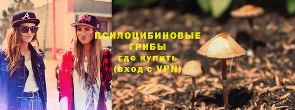 PSILOCYBIN Киреевск