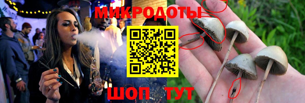Керчь  Псилоцибиновые грибы Psilocybe  Вход с VPN  Псилоцибиновые грибы Psilocybe 